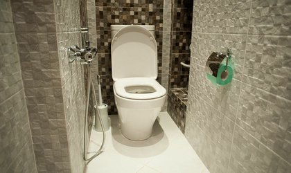 Косметический ремонт туалета